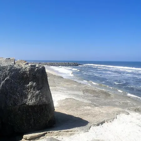 Cool & Cozy Flat Lejlighed *