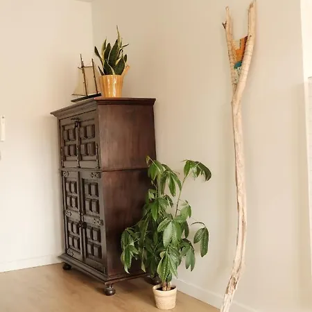 Cool & Cozy Flat Furadouro